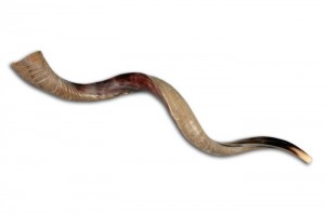 Antelope horn shofar